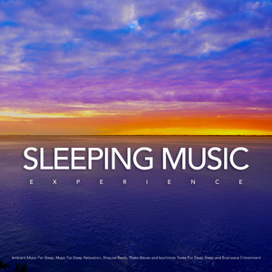 Sleeping Music