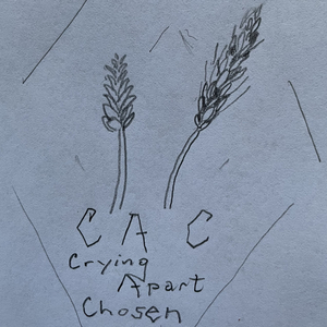 C.A.C (Crying Apart Chosen)