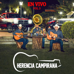 El Amigo De Los Artistas (En vivo)