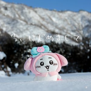 雪、はじめまして