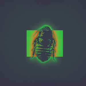 虫王BugKingSpeaking