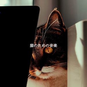 Romantic Smooth Sundays