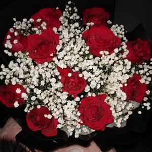 武家坡之狗武家坡.wav