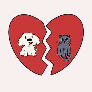 我们说好了要一起养只猫狗