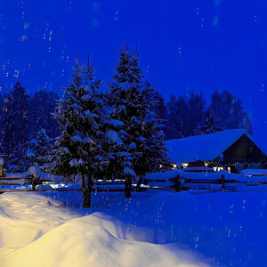 雪一样稍纵即逝的你