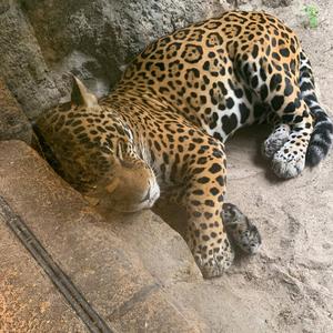 First 24 Hours (feat. TomTom3k)