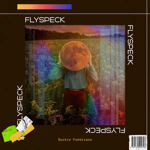 Flyspeck