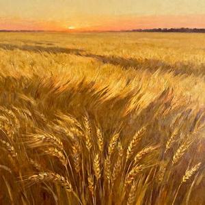 飞驰人生3 (追风少年)