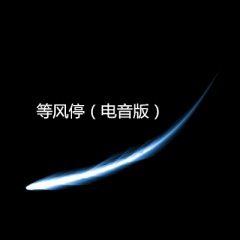 心跳小马达 (电音版)