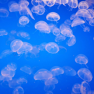 Deep Water Deep Sea