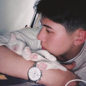 春暖花开去见你