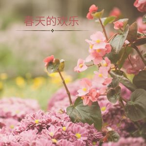 认知表现的提升