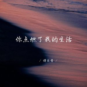 你点燃了我的生活