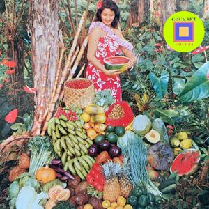 Colors (This Place is Beautiful)