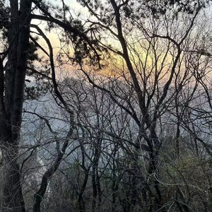 被爱并非与生俱来