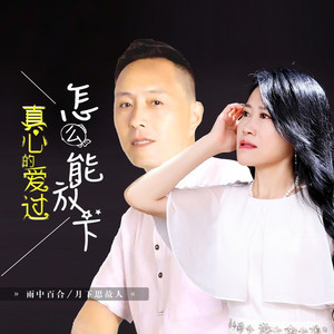 真心的爱过怎么能放下 (DJ默涵版)
