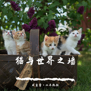 日落之前再起舞一次