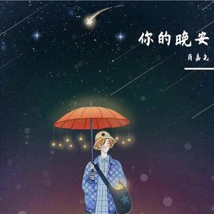 你的晚安