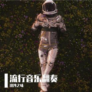 王菲-致青春(Remix)