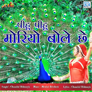 Pihu Pihu Moriyo Bole Chhe
