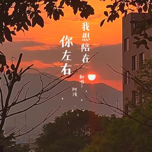 我想陪在你的左右
