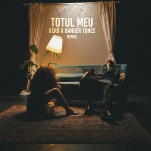 Totul Meu (Remix)