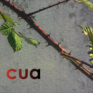 (And If) the Morning's Alright