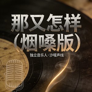 那又怎样（烟嗓版）