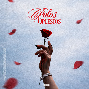 POLOS OPUESTOS