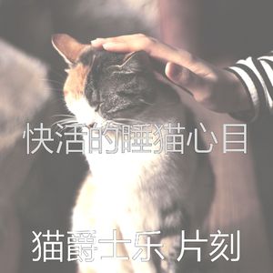 诗意的猫在家节奏