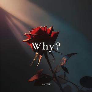 Why?