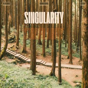 Singularity