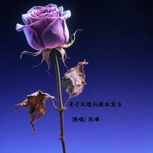 量子玫瑰的维权宣言