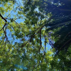 Visions of Gideon(piano ver.)