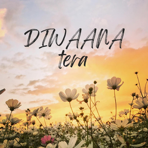Diwaana Tera
