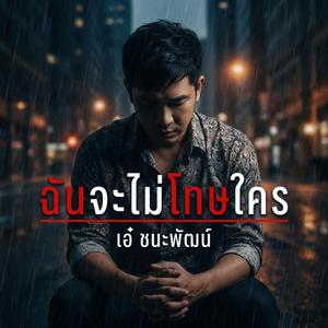 ฉันจะไม่โทษใคร