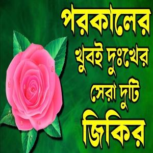 পরকালের খুবই দুঃখের বিরহের সেরা দুটি দরুদ শরীফ আশা করি ভালো লাগবে ইনশাআল্লাহ