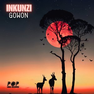 Inkunzi