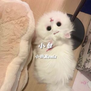 小白（DJ小玖Remix）