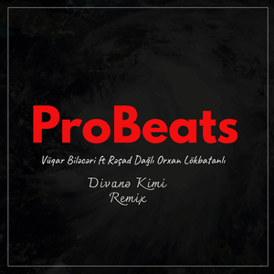 Divanə Kimi (Remix)