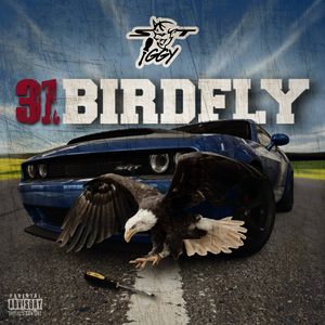 31BirdFly