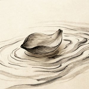 Luminous Stillness