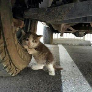 CHANGE (feat. Benny The Butcher & Bizarre)