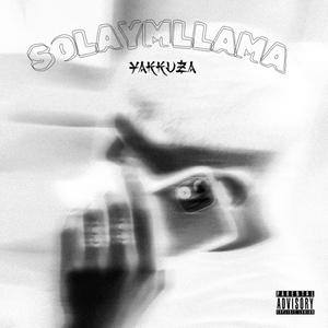 SOLAYMLLAMA