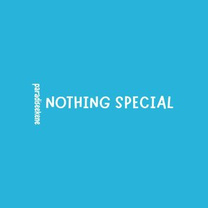 Nothing Special