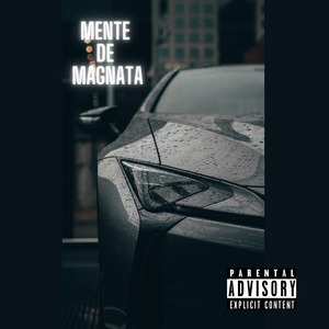 Mente de Magnata