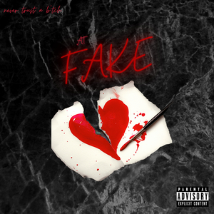 Fake