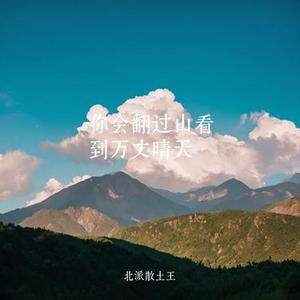 你会翻过山看到万丈晴天