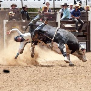 Jethro & Bubba Ride In The Rodeo