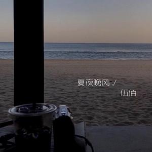 夏夜晚风